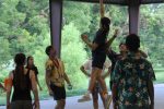 img_0016
